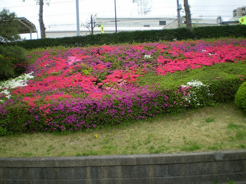 81dd5697.jpg