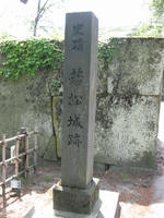 89d5d176.jpg