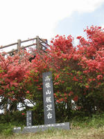 a9d6bc11.jpg