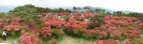 Stitched_012_R.jpg