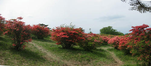 Stitched_014_R.jpg