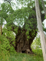 5f509847.jpg