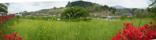 9740450e.jpg