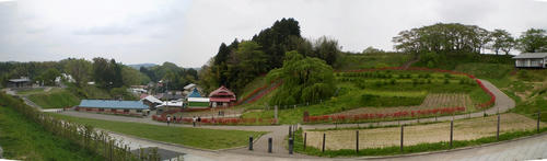 b891a9a4.jpg