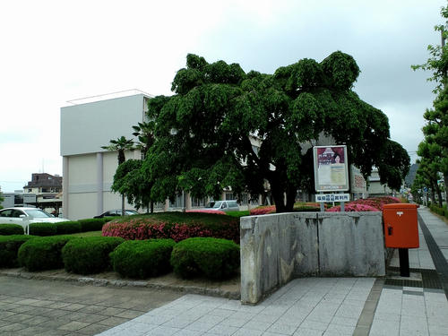 cd58f9cb.jpg