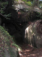 571f9169.jpg