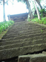 761acad1.jpg