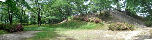 b969e67c.jpg