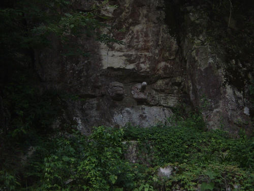 bd078f43.jpg