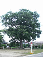 6ef13983.jpg