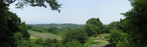 d24a5a34.jpg