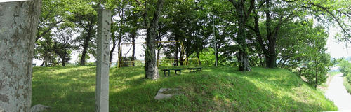 d7956c92.jpg