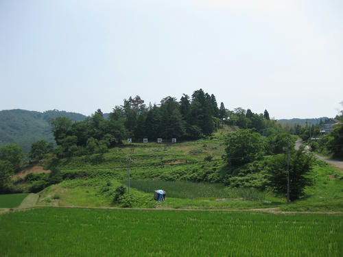 IMG_0057_R.jpg