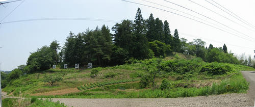 6066d007.jpg