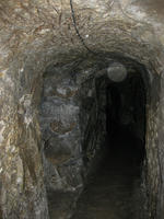 e1d24388.jpg