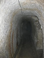 3533ceb9.jpg
