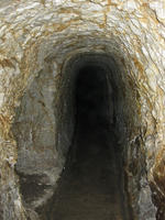 cb2bc572.jpg