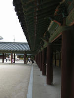 0289935e.jpg