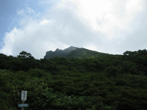 1b533b19.jpg