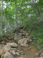 319a1f44.jpg