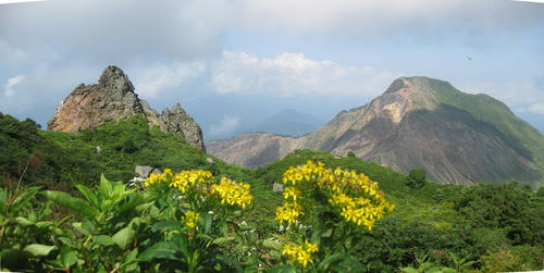 6d784696.jpg