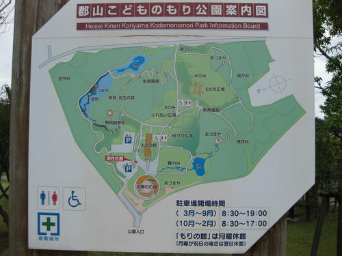 40767403.jpg