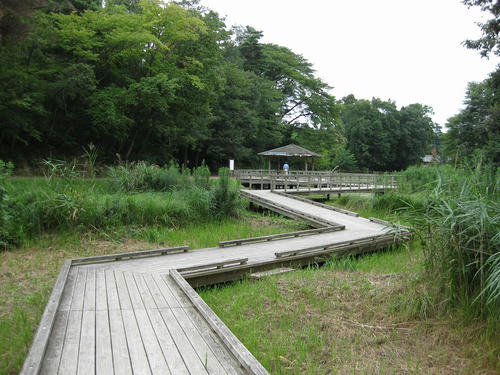 d08b16d6.jpg