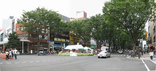 9e705364.jpg