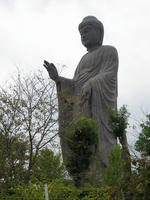 5f16a829.jpg