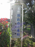 1c3442eb.jpg