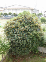 d35094ec.jpg