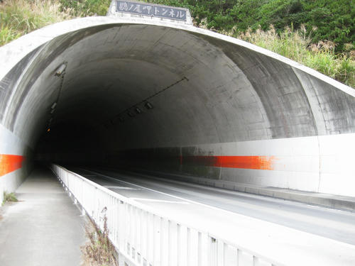 f65a22a7.jpg