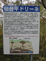 IMG_1570.jpg