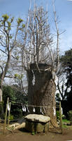 Stitched_023.jpg