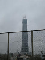 IMG_0277.jpg