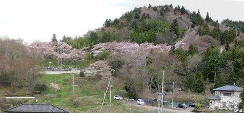 6b586393.jpg