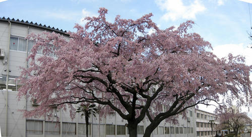 d97b3360.jpg