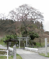 a07063a1.jpg