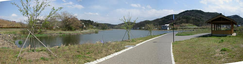 52f2cf50.jpg