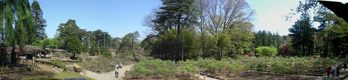 2f3d7961.jpg