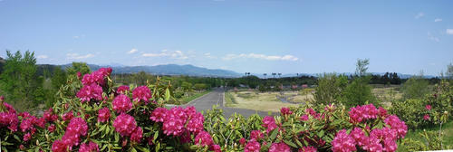 136cdcd7.jpg