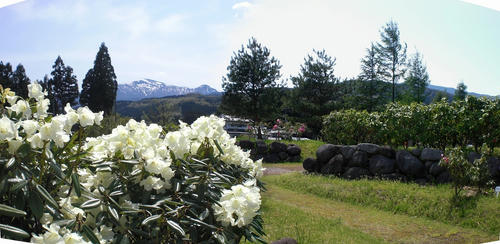 80f351e7.jpg