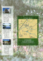 6970ef57.jpg