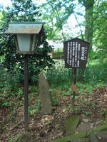 CIMG3894_R.jpg