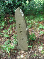 CIMG3895_R.jpg