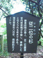 CIMG3911_R.jpg