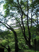 CIMG3913_R.jpg
