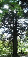 200257dc.jpg