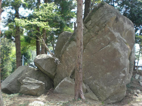 CIMG3540_R.jpg