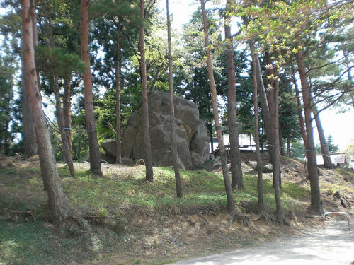 CIMG3541_R.jpg
